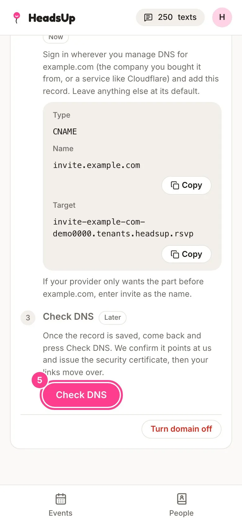 Step 3 with the Check DNS button circled